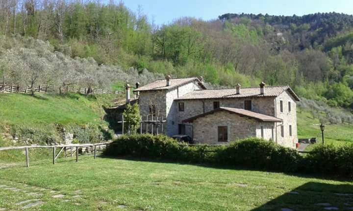 Le Chianine Dei Tognoli Villa Gragnola Ngoại thất bức ảnh