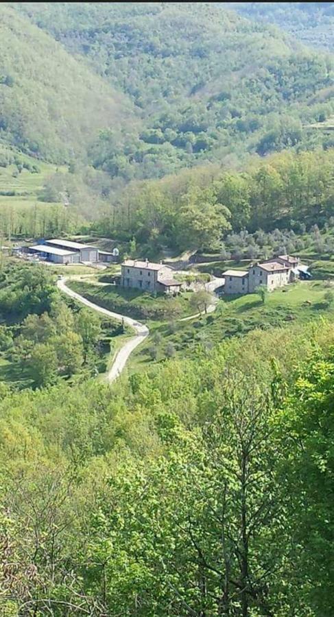 Le Chianine Dei Tognoli Villa Gragnola Ngoại thất bức ảnh